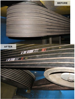 Paper Mill Predator Belt Primary Screen