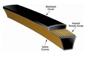 Predator Belt Cutaway