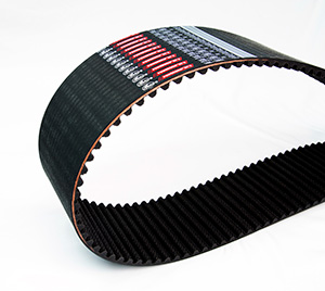 PowerGrip GT4 Belt