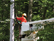 Thermoplastic Hydraulic Hose