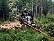 Medium Pressure Hydraulic Hose