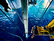 Gates Services & Engineering