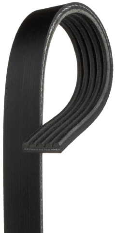 Micro v Stretch Fit Belts