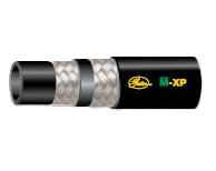 MXP